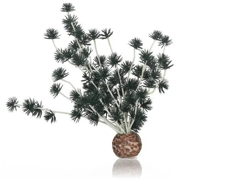 biOrb Bonsai Ball Black