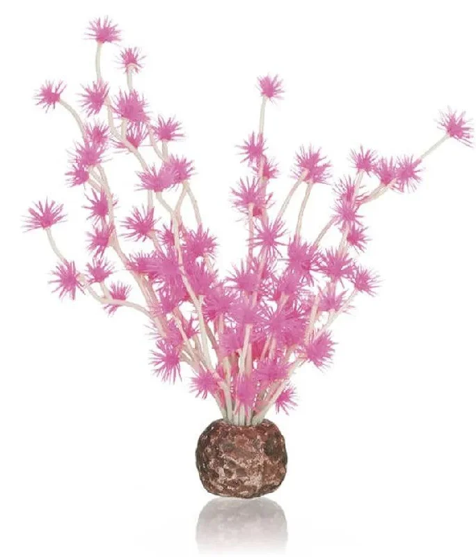 biOrb Bonsai Ball Pink