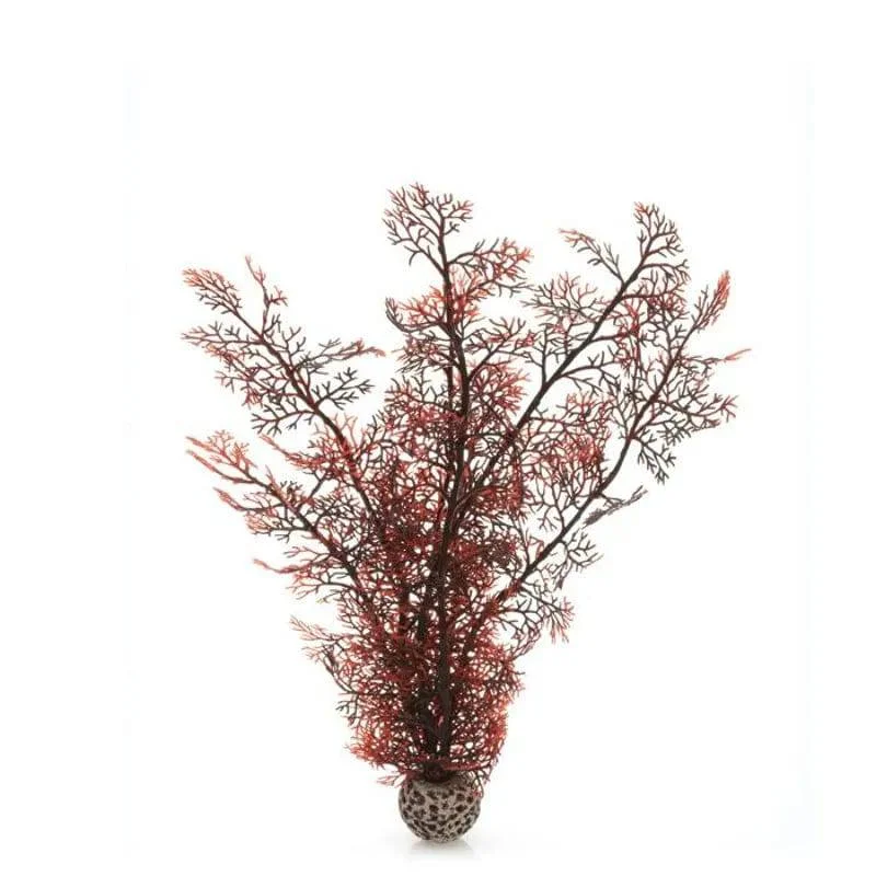 biOrb Crimson Sea Fan Aquarium Decoration Large