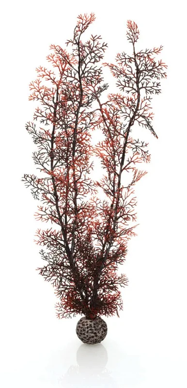 biOrb Crimson Sea Fan Aquarium Decoration Very Large