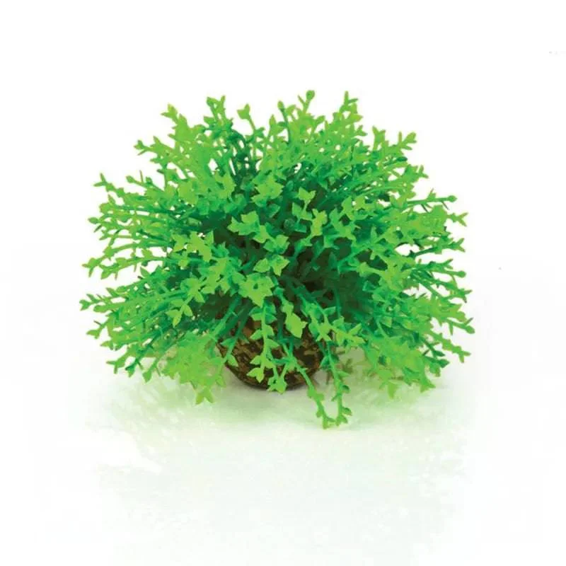 biOrb Green Topiary Ball