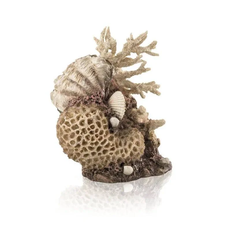 BiOrb Ornament Natural Coral-Shells 26cm