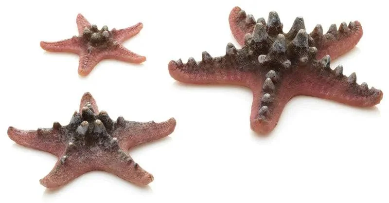 biOrb Pink Sea Star x3.