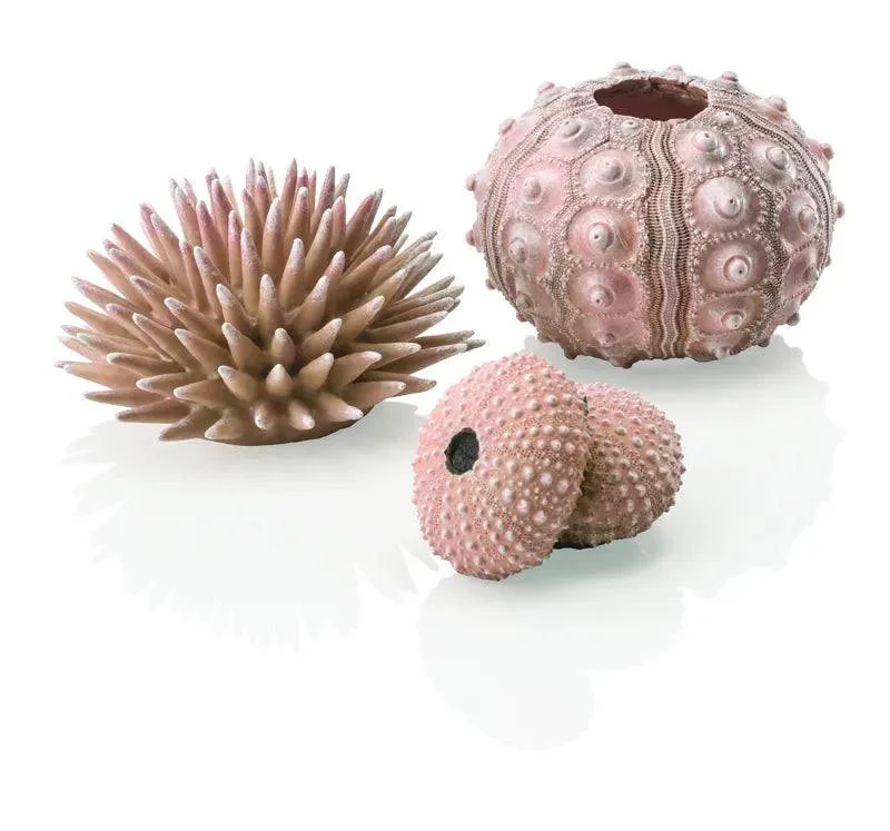 biOrb Sea Urchins Set of 3 in Natural