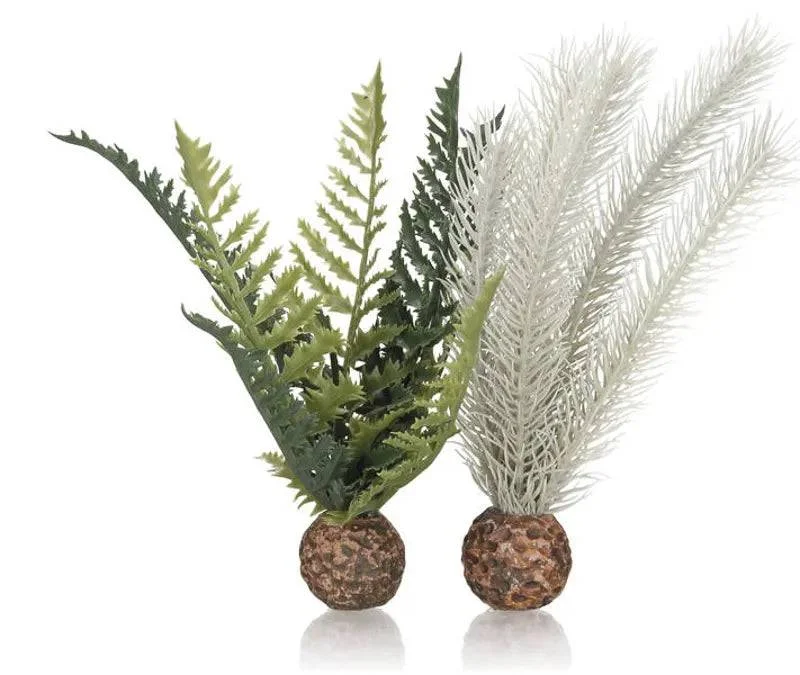 biOrb Thistle Fern Grey/Green Small 2 Pack