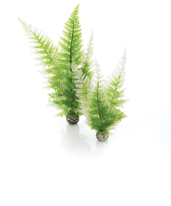 biOrb Winter Fern Pack x2.