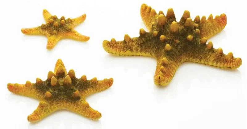 biOrb Yellow Sea Star x3.