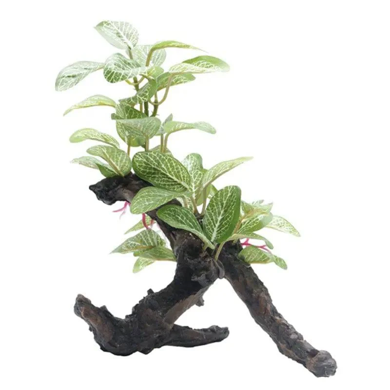 Fluval Medium African Shade Leaf Plant on Root 20 cm 8 Inch