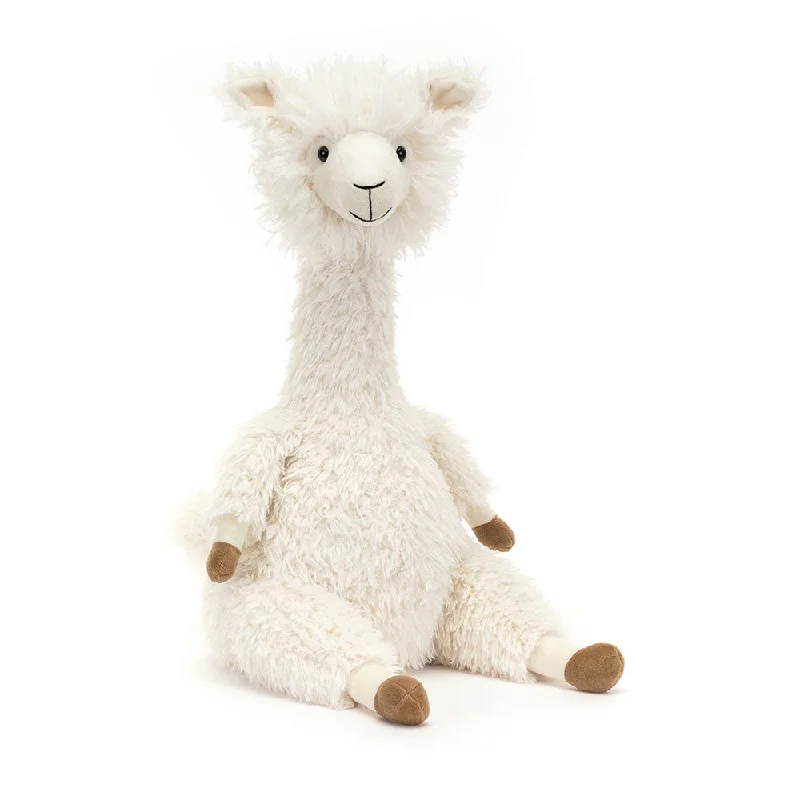 Teddy - Alonso Alpaca