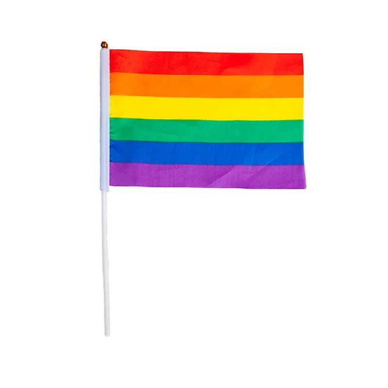 Large Handheld Rainbow Flag 45x30cm