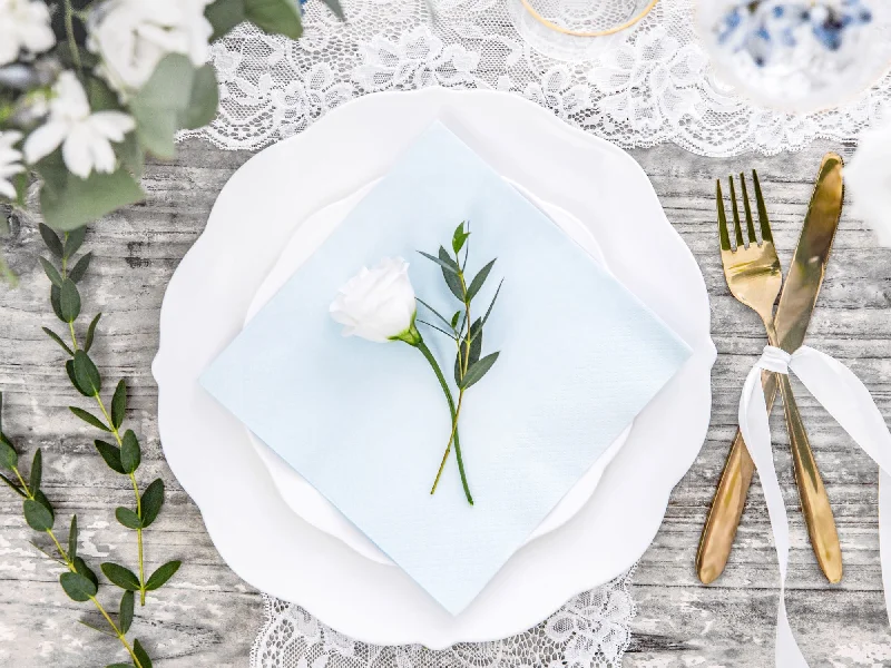 Light Blue Paper Napkins