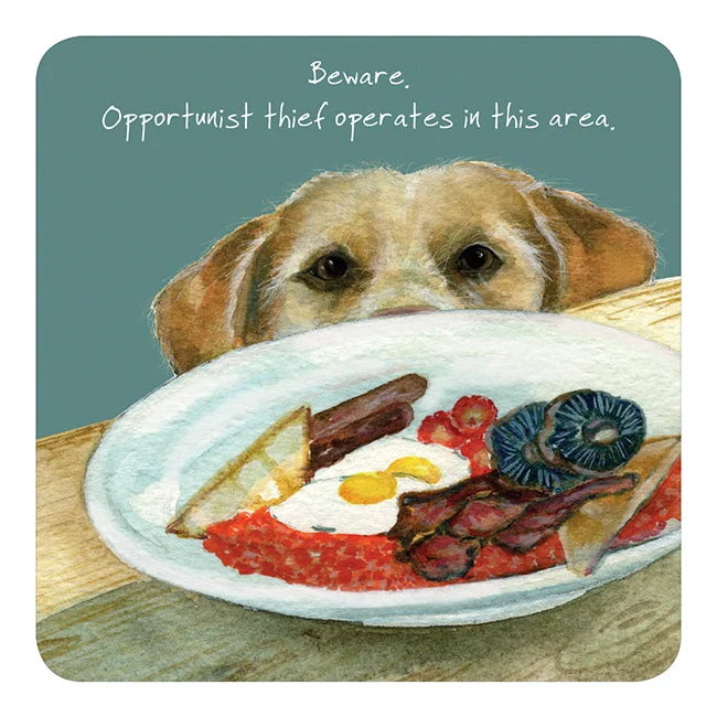 Opportunist Thief In This Area Golden Labrador Little Dog Laughed Coaster